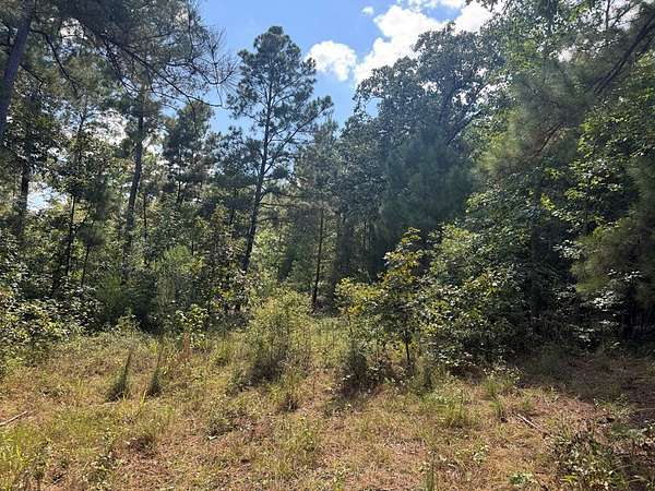 40 Acres of Recreational Land for Sale in Palestine, Texas