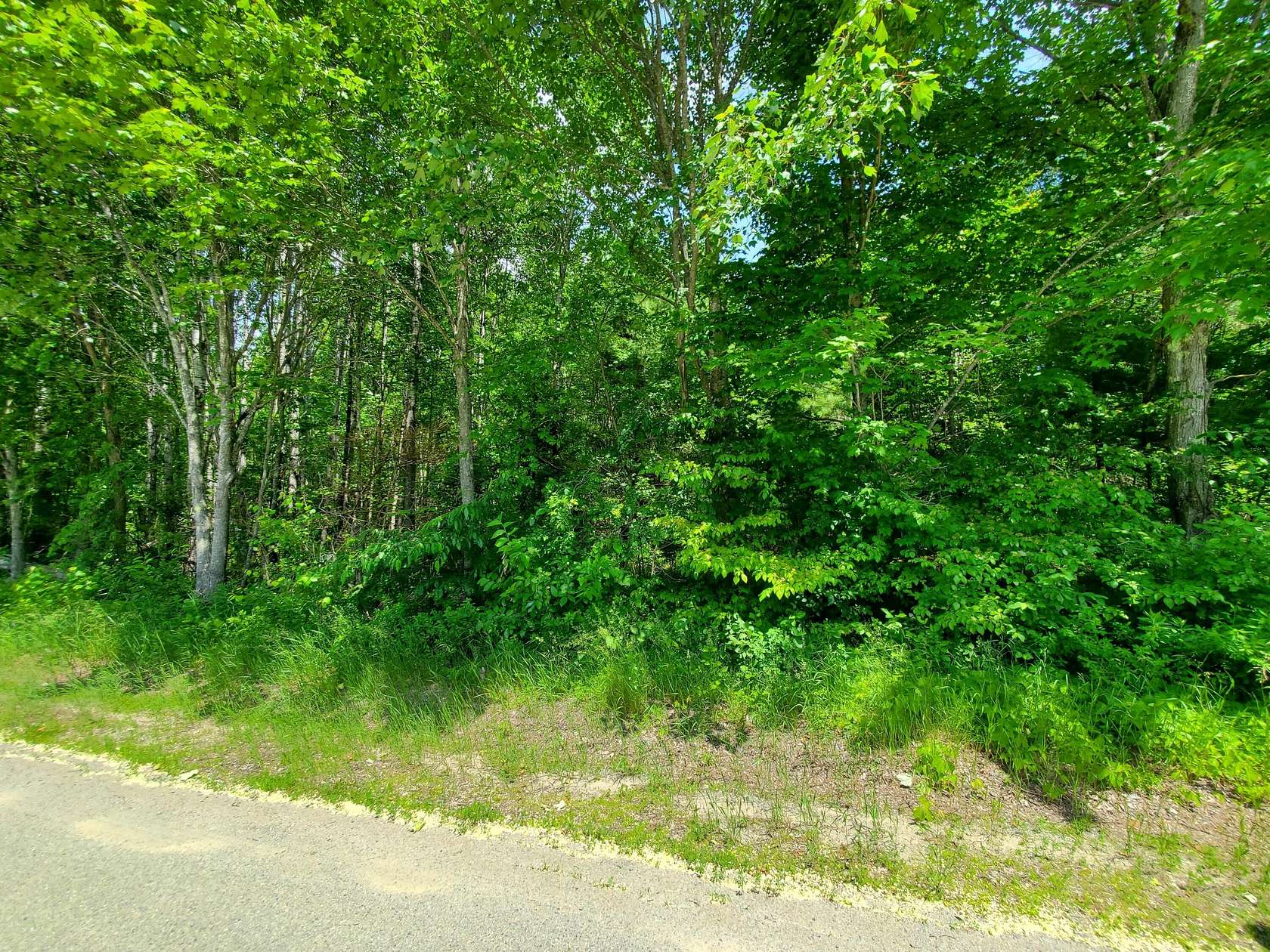 10.2 Acres of Land for Sale in Burnham, Maine