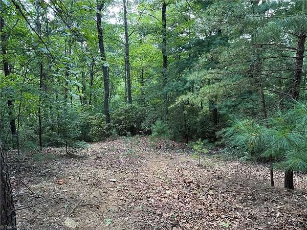11.8 Acres of Recreational & Residential Land for Sale in Purlear, North Carolina