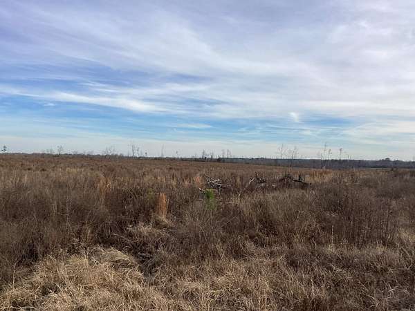 120 Acres of Land for Sale in Okolona, Arkansas
