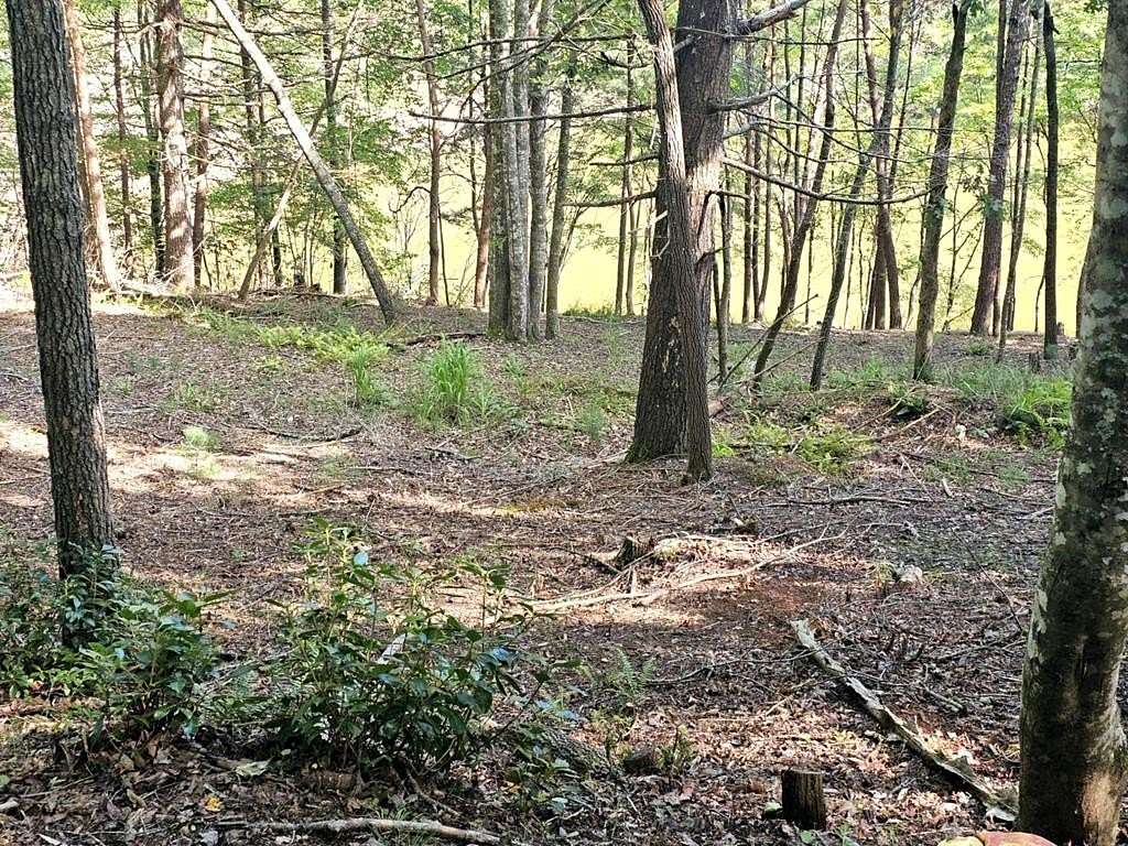 1 Acre of Land for Sale in Murphy, North Carolina