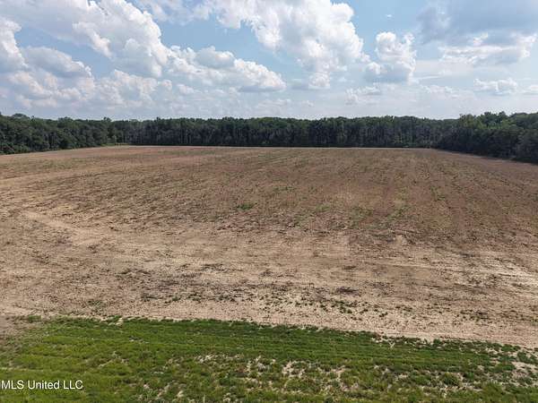 120 Acres of Recreational Land & Farm for Sale in Anguilla, Mississippi
