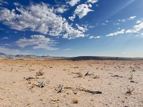 21.7 Acres of Land for Sale in San Antonio, New Mexico