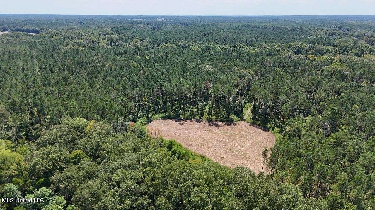 348 Acres of Recreational Land for Sale in Canton, Mississippi