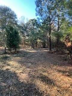 Residential Land for Sale in Georgetown, Georgia