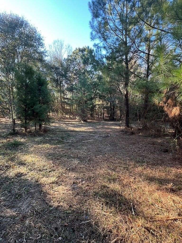 1 Acre of Residential Land for Sale in Georgetown, Georgia