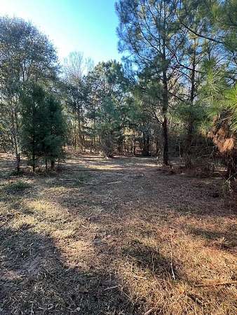 Residential Land for Sale in Georgetown, Georgia