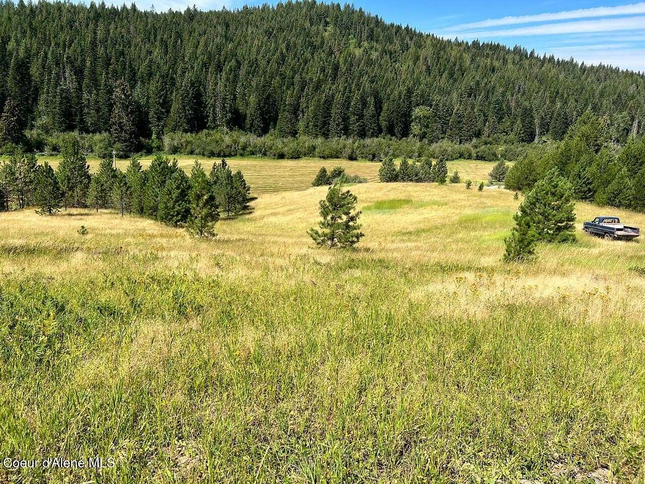 13 Acres of Land for Sale in Tensed, Idaho