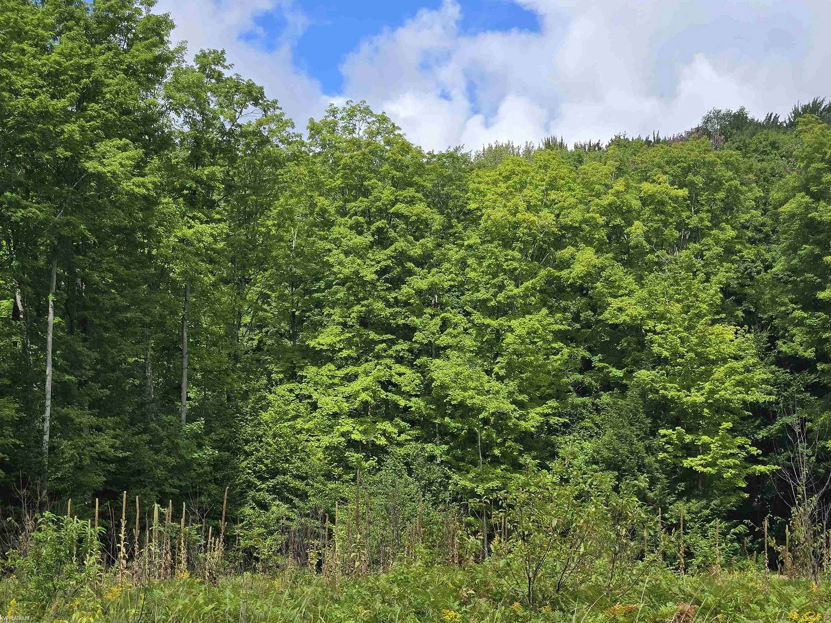 10.7 Acres of Recreational Land for Sale in Mancelona, Michigan