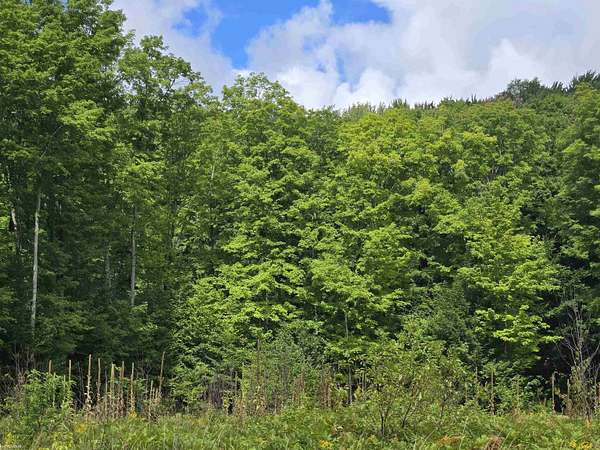 10.7 Acres of Recreational Land for Sale in Mancelona, Michigan