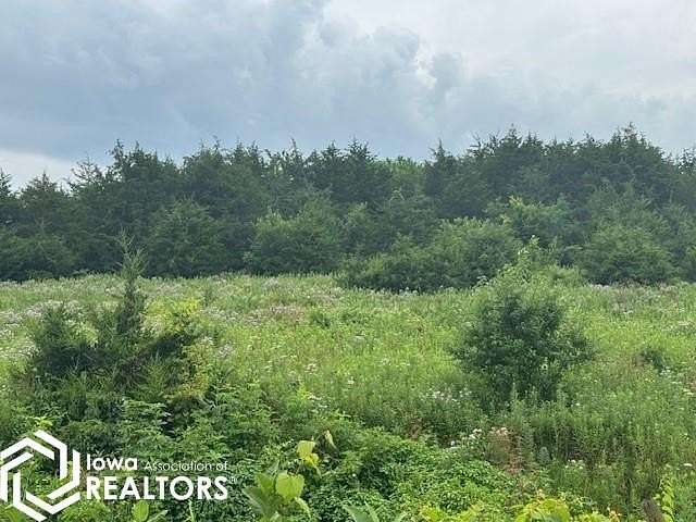 80 Acres of Recreational Land & Farm for Sale in Bloomfield, Iowa