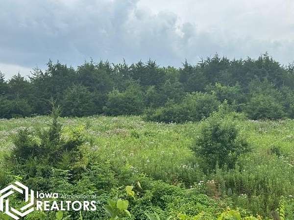 80 Acres of Recreational Land & Farm for Sale in Bloomfield, Iowa