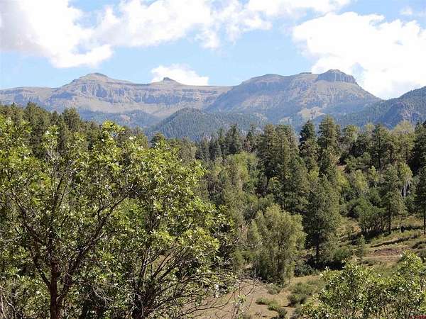 155 Acres of Recreational Land for Sale in Pagosa Springs, Colorado