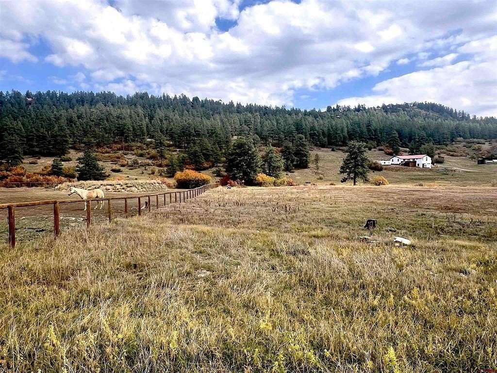 3 Acres of Residential Land for Sale in Pagosa Springs, Colorado