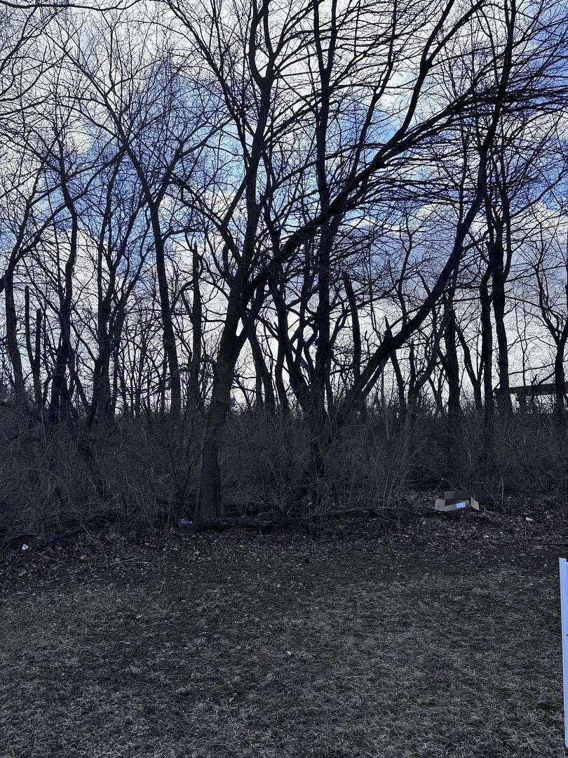 0.7 Acres of Residential Land for Sale in Morris, Illinois