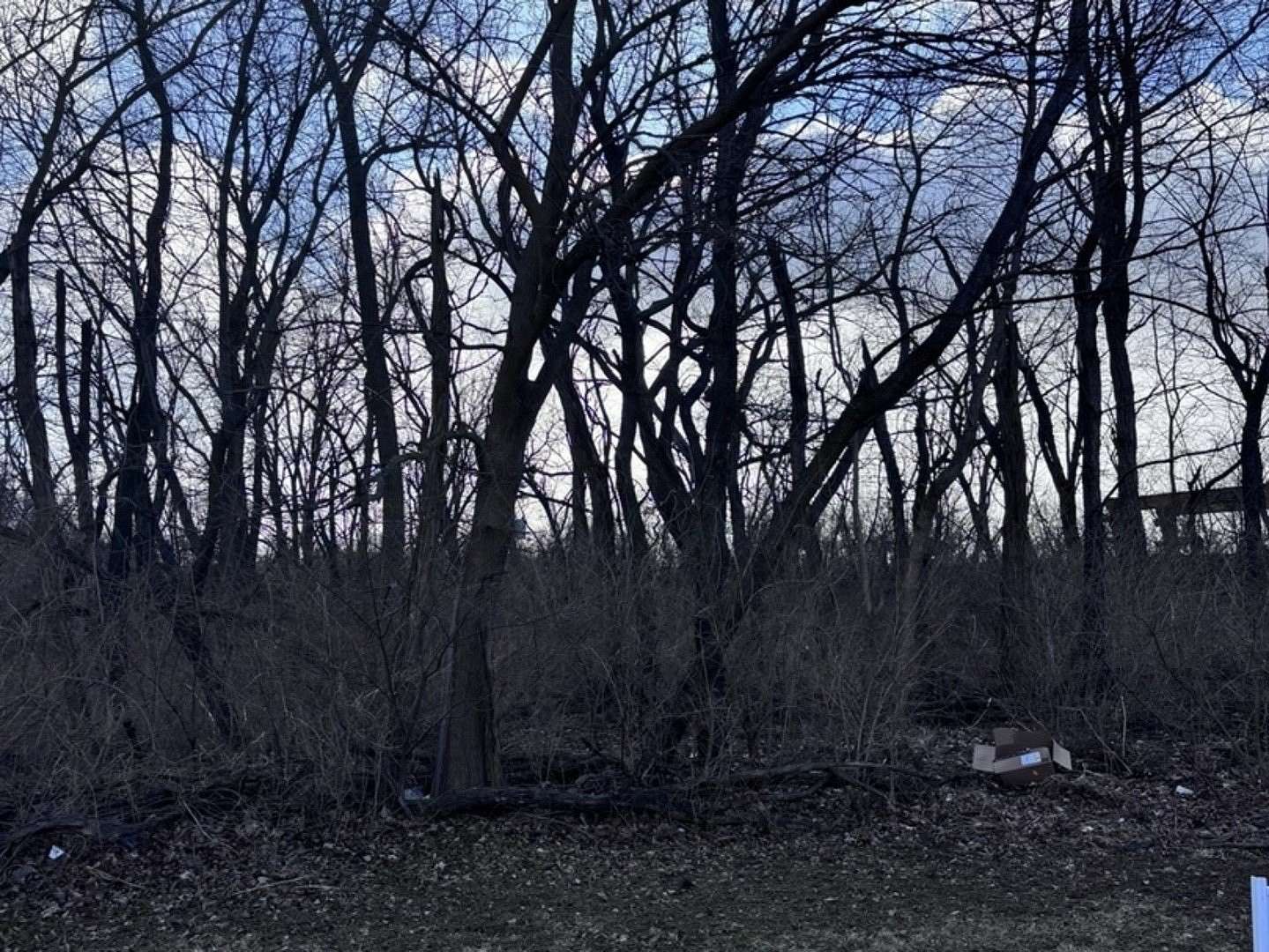 0.7 Acres of Residential Land for Sale in Morris, Illinois