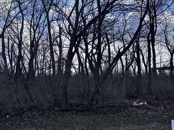 0.7 Acres of Residential Land for Sale in Morris, Illinois