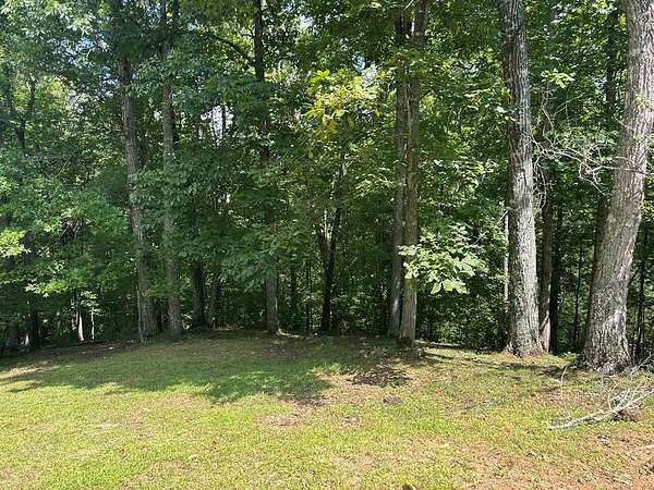 1.6 Acres of Land for Sale in Blairsville, Georgia
