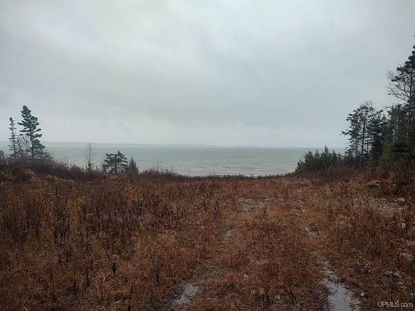 94 Acres of Recreational Land for Sale in De Tour Village, Michigan