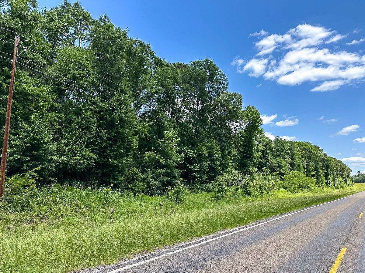 60 Acres of Land for Sale in Groveton, Texas