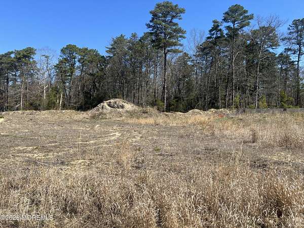 Land for Sale in Little Egg Harbor Township, New Jersey