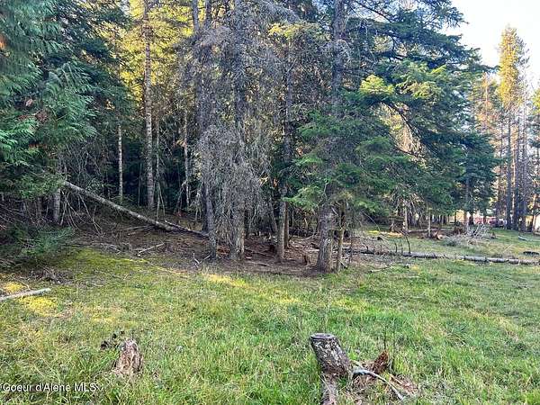 5 Acres of Residential Land for Sale in St. Maries, Idaho