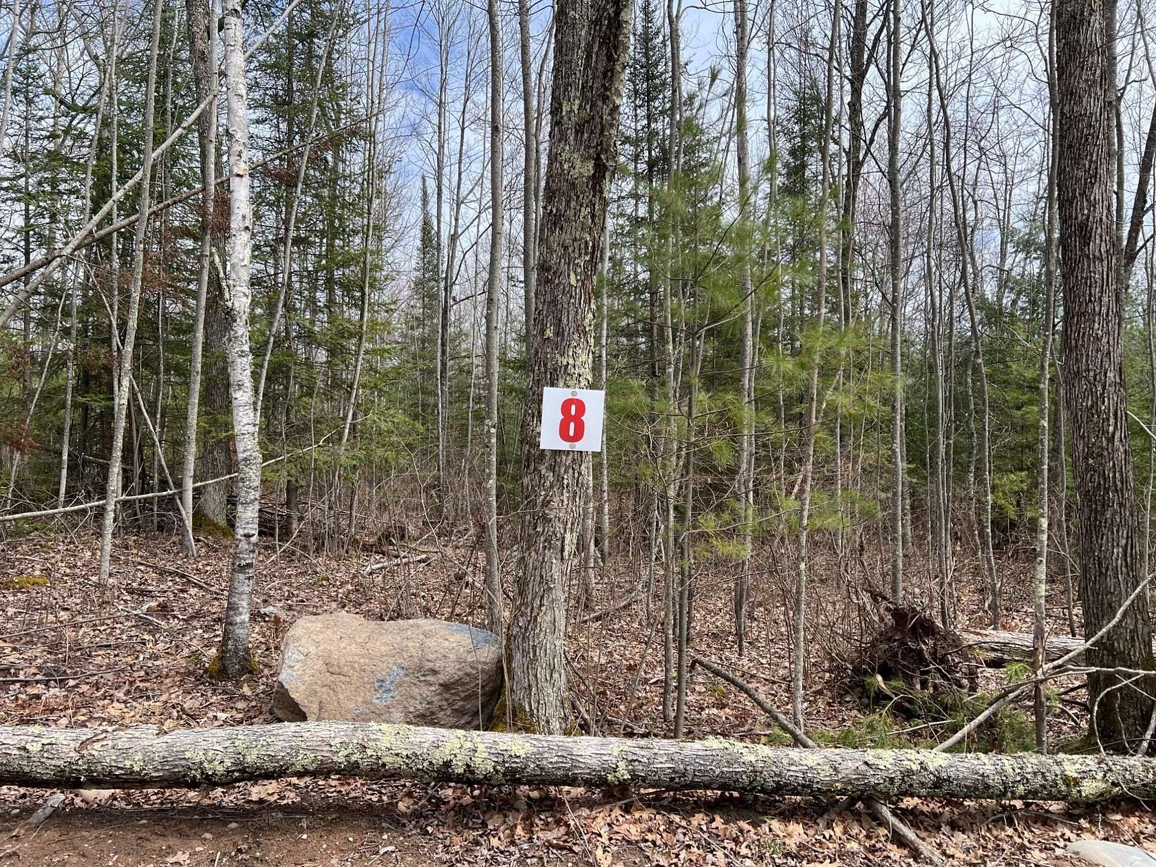 1.5 Acres of Residential Land for Sale in Eagle River, Wisconsin