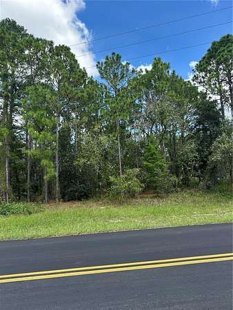 0.34 Acres of Residential Land for Sale in Homosassa, Florida