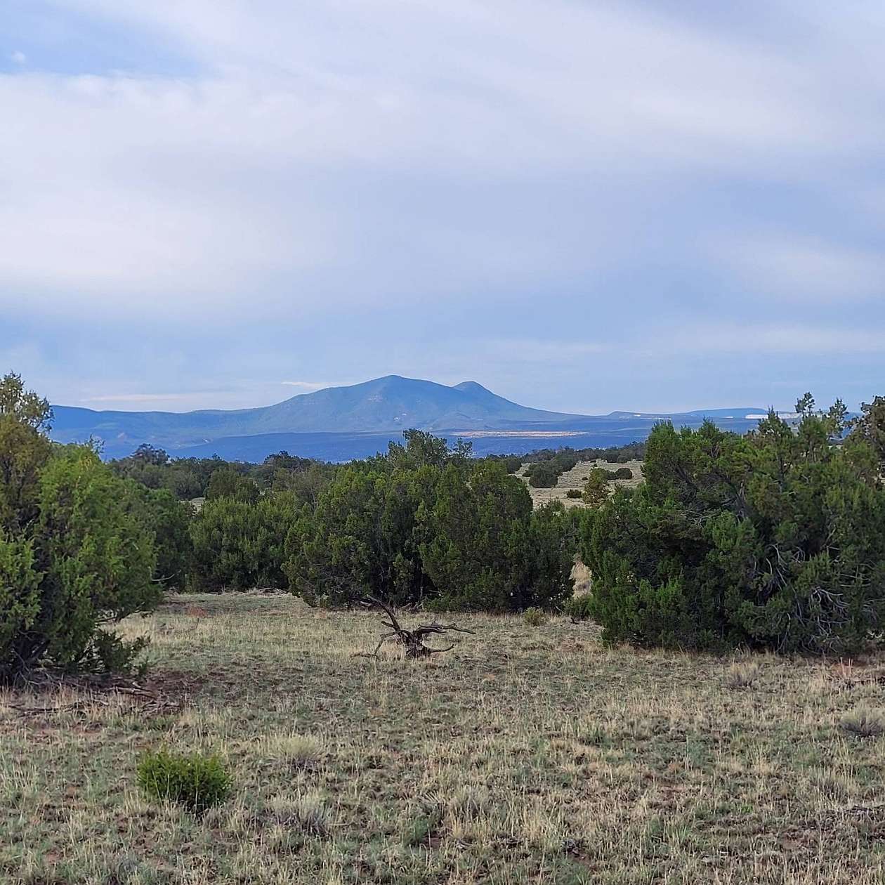 11.2 Acres of Recreational Land for Sale in Quemado, New Mexico