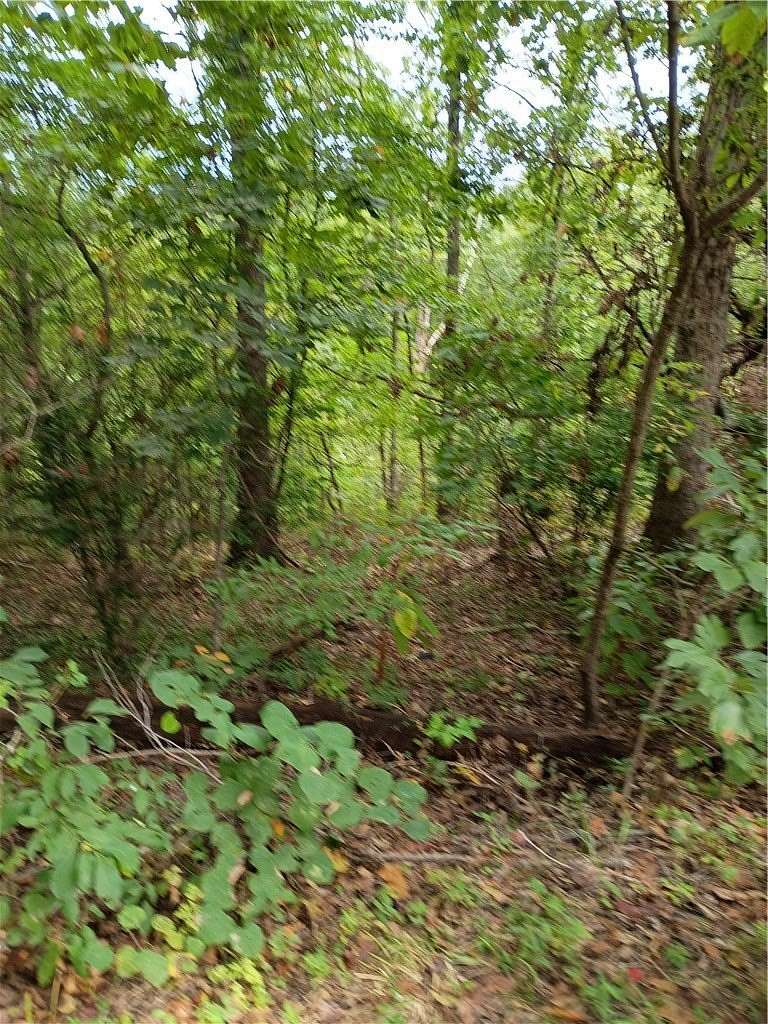 0.35 Acres of Land for Sale in Bella Vista, Arkansas