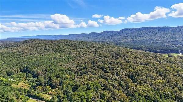 14 Acres of Land for Sale in Summerville, Georgia