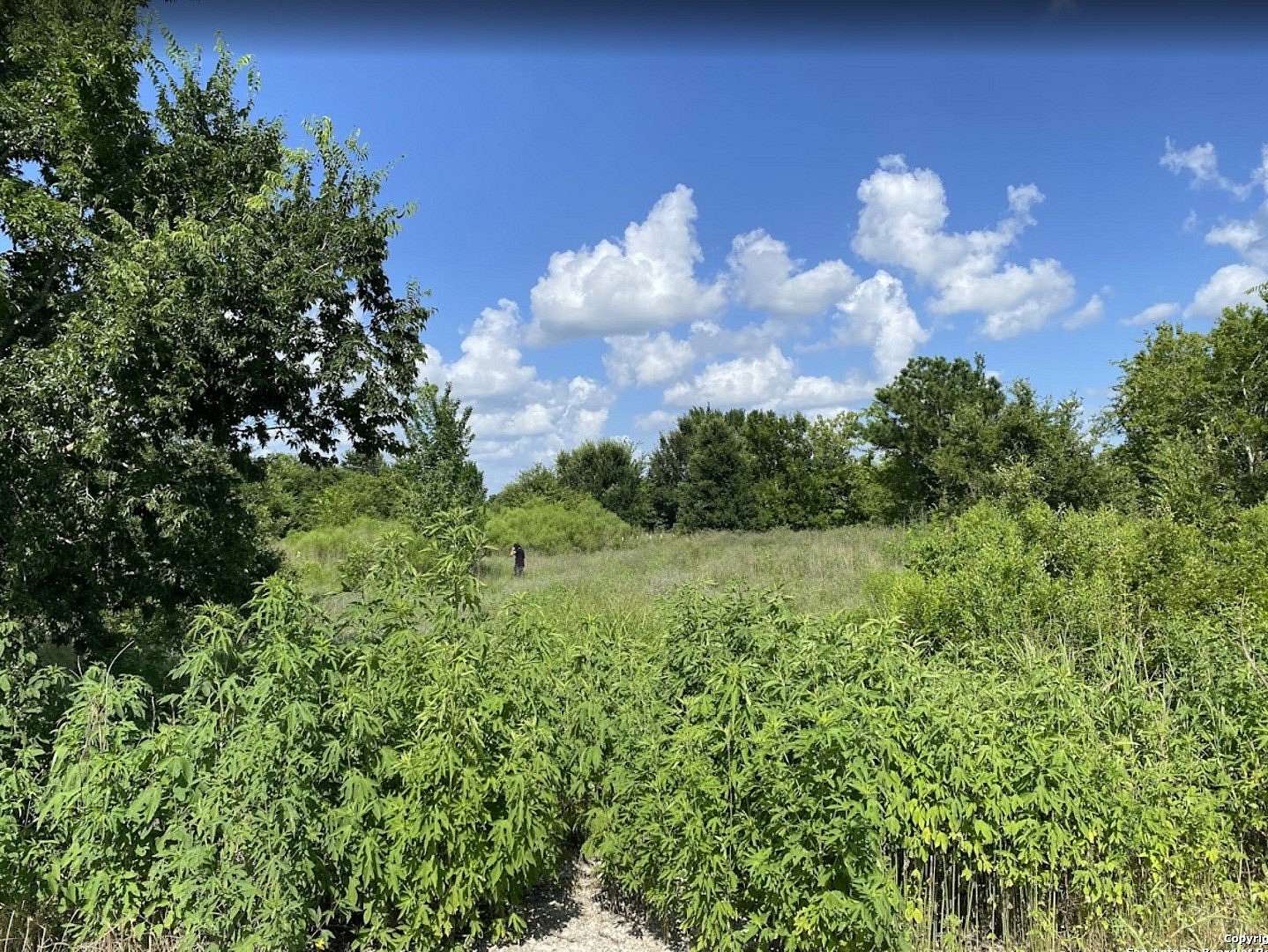 2.69 Acres of Residential Land for Sale in Wallis, Texas