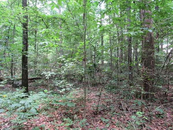 2.36 Acres of Residential Land for Sale in Dalton, Georgia