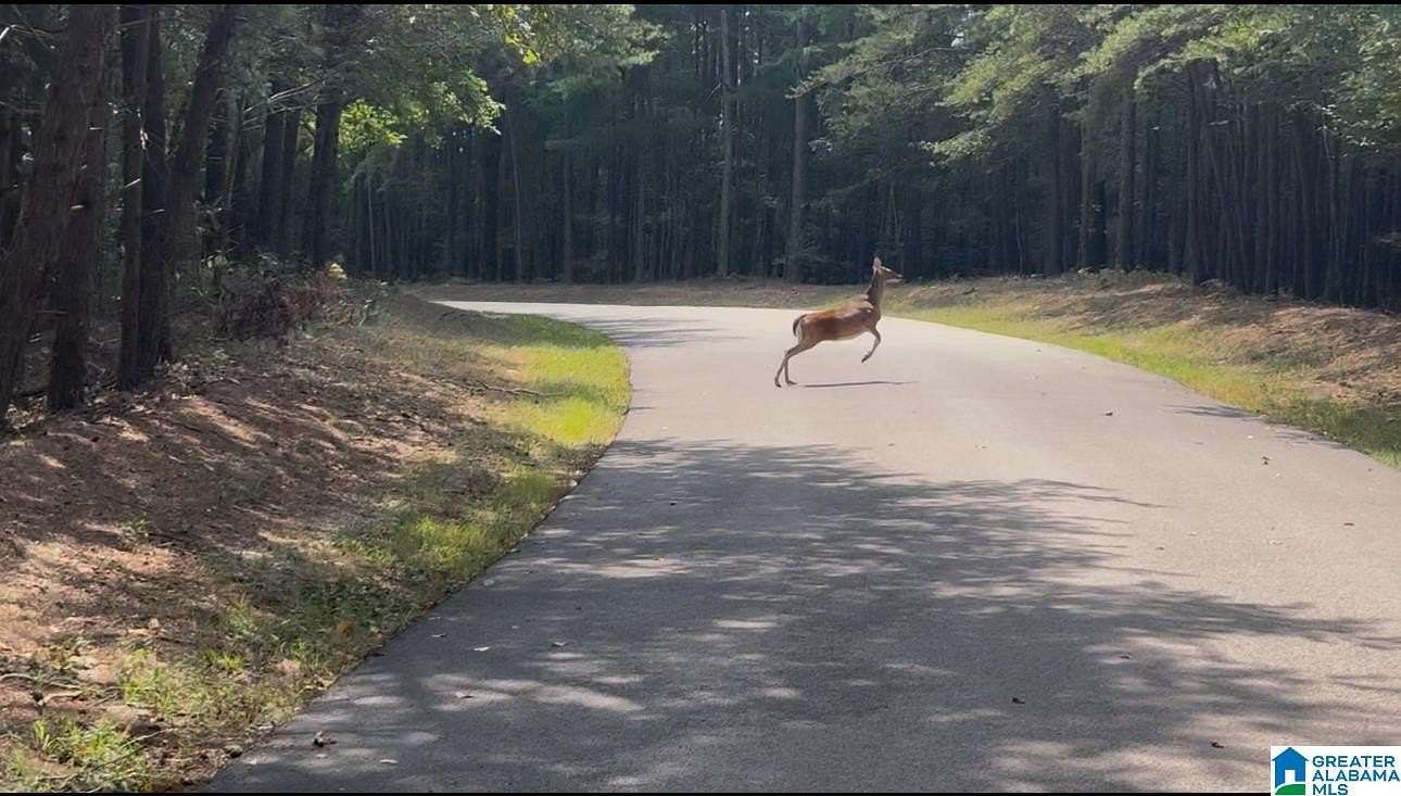 20.4 Acres of Land for Sale in Columbiana, Alabama