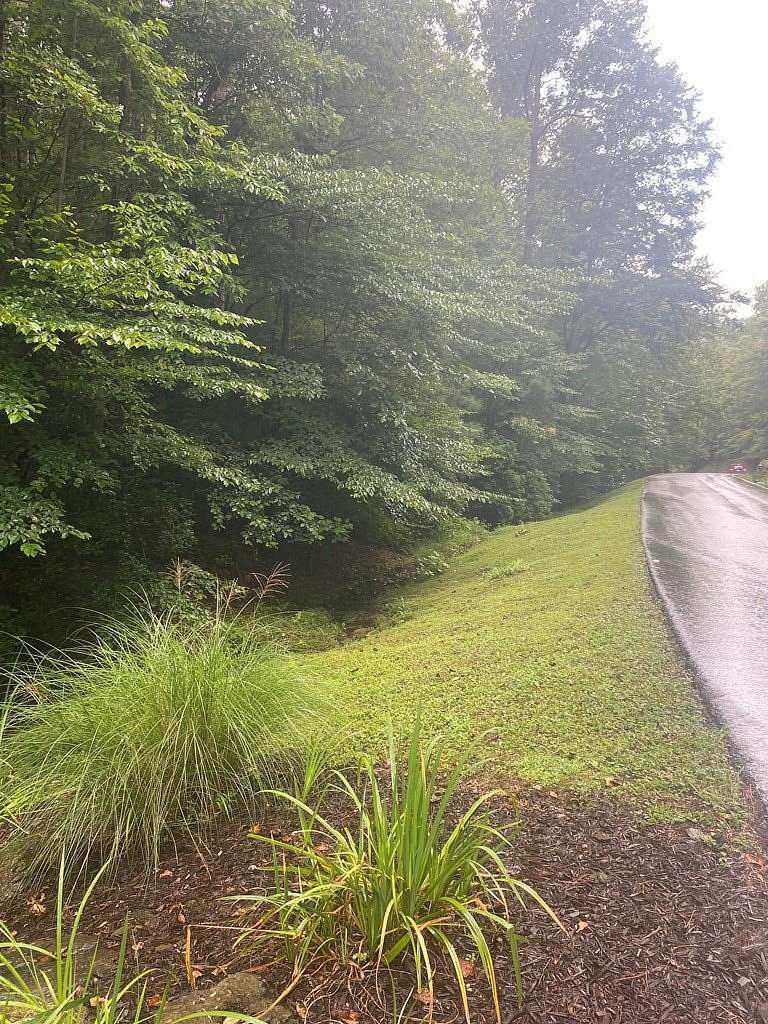 1.4 Acres of Residential Land for Sale in Talking Rock, Georgia