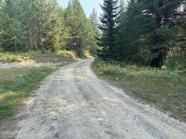 19.9 Acres of Recreational Land & Farm for Sale in Priest River, Idaho