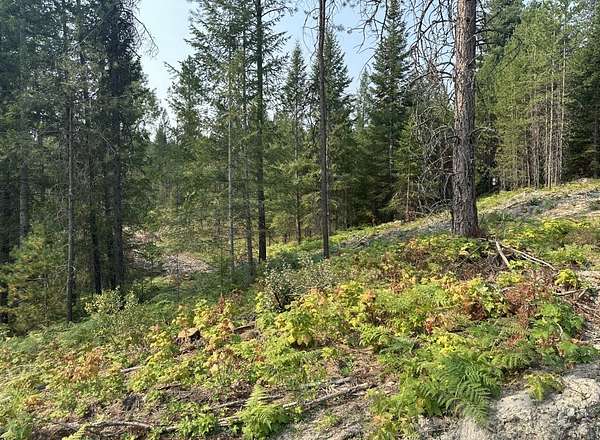 19.9 Acres of Land for Sale in Priest River, Idaho