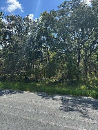 0.26 Acres of Residential Land for Sale in Homosassa, Florida