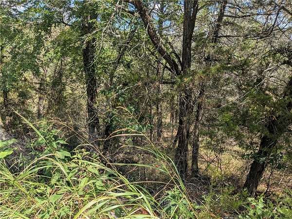 0.31 Acres of Residential Land for Sale in Holiday Island, Arkansas