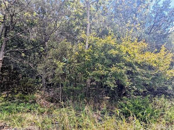 0.36 Acres of Residential Land for Sale in Holiday Island, Arkansas