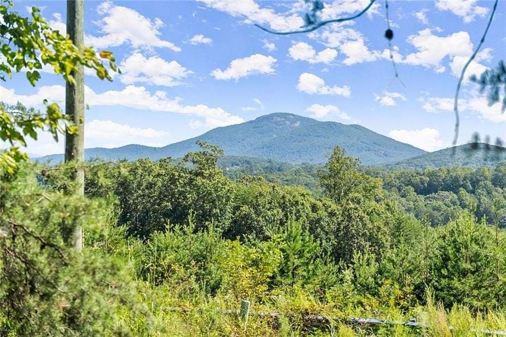 85.6 Acres of Land for Sale in Cleveland, Georgia