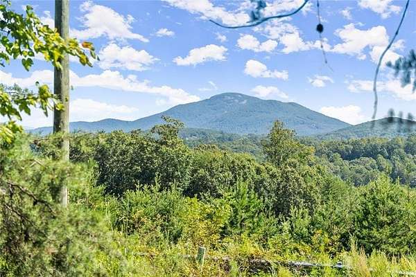 85.6 Acres of Land for Sale in Cleveland, Georgia