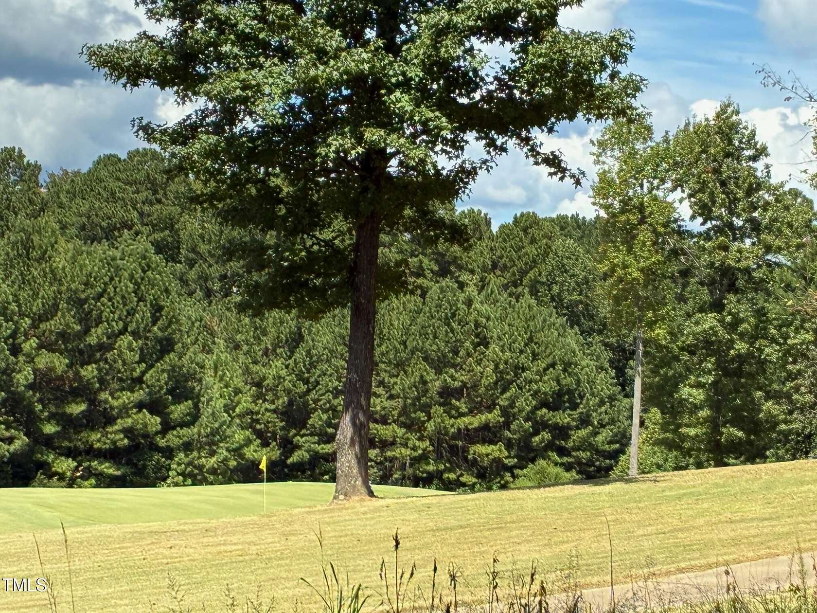 0.45 Acres of Residential Land for Sale in Pittsboro, North Carolina
