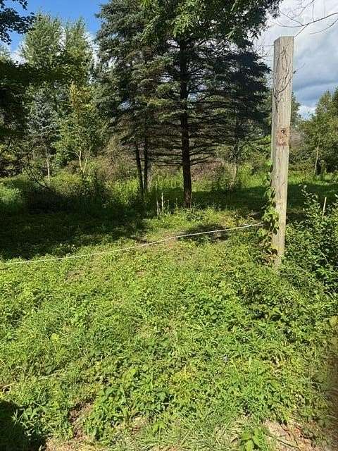 9.33 Acres of Residential Land for Sale in Hastings, Michigan