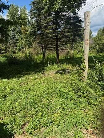 9.33 Acres of Residential Land for Sale in Hastings, Michigan