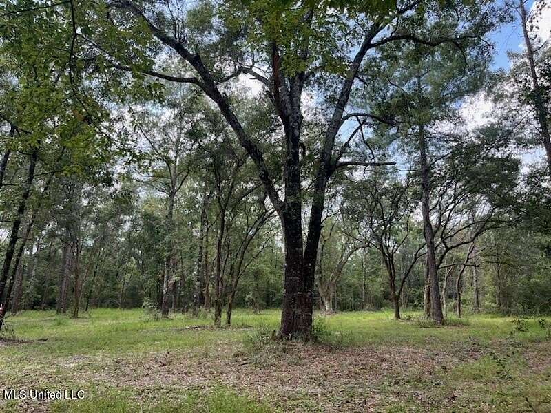 39.1 Acres of Recreational Land for Sale in Lucedale, Mississippi