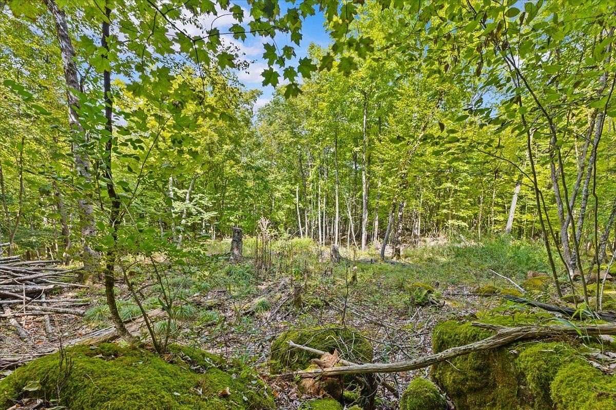 3 Acres of Residential Land for Sale in Colchester, Vermont