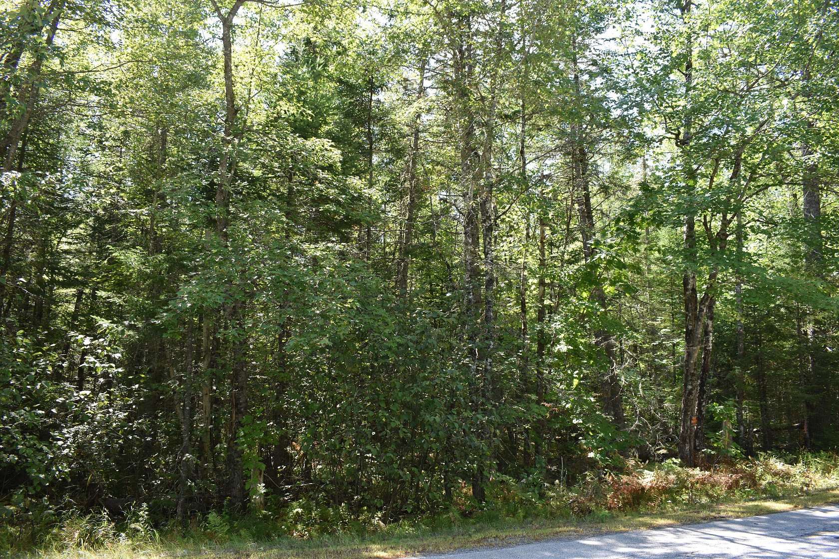 4.6 Acres of Residential Land for Sale in Greenbush, Maine