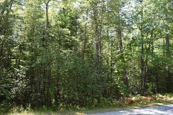 4.6 Acres of Residential Land for Sale in Greenbush, Maine