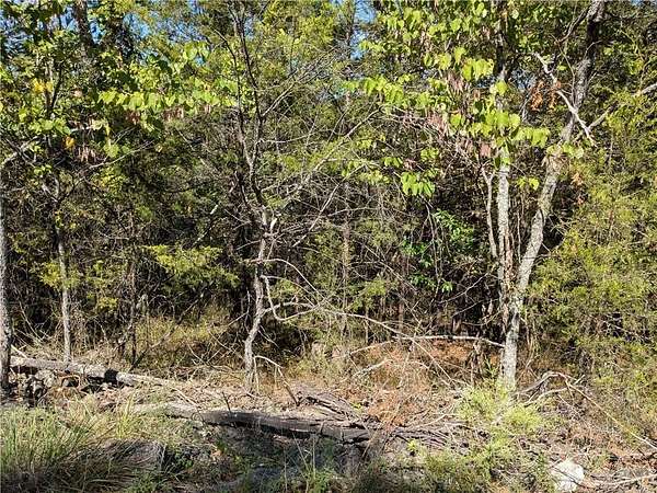 0.45 Acres of Residential Land for Sale in Holiday Island, Arkansas